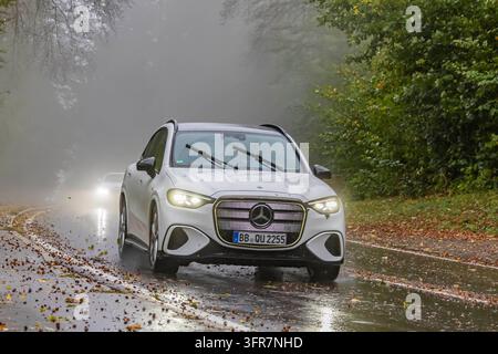 Straßenzustände im Herbst. Fallendes Laub und nasse Straßen in Verbindung mit Nebel sind eine Gefahrenlage auf der Straße. Reifen mit Blättern und Auto auf nasser Fahrbahn Stockfoto