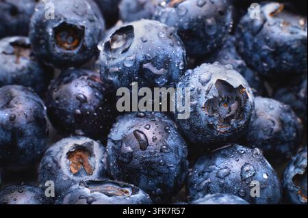 Wassertropfen auf reifen süßen Blaubeeren. Frischer Blaubeeren-Hintergrund. Veganes und vegetarisches Konzept. Makro-Textur von Blaubeeren. Textur von Blaubeeren Stockfoto