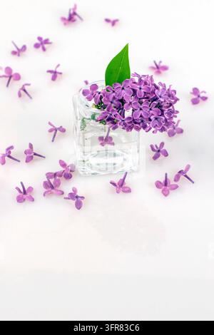 Schöne lila Blumen in einer Glasvase auf weißem Hintergrund, Mockup-Karte. Kopierraum Stockfoto