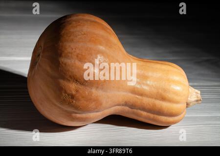 Butternusskürbis auf grauem Holzgrund Stockfoto