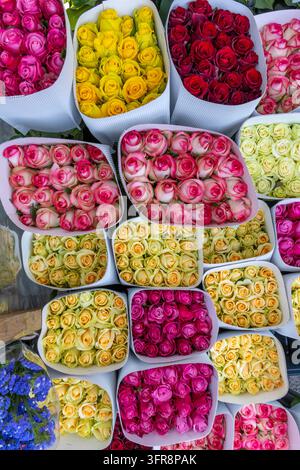 Bunte Rosensträuße verpackt und zum Verkauf ausgestellt auf einem Blumenmarkt, Jerewan, Jerewan, Armenien Stockfoto
