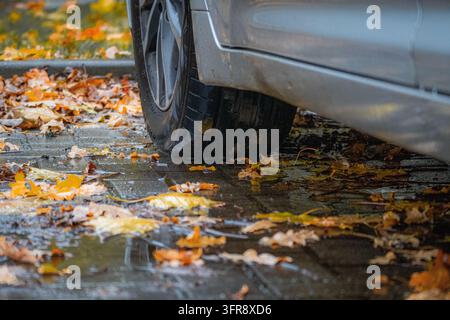 Autoreifen auf nassem Pflaster bedeckt mit gefallenen Herbstblättern nach dem Regen Stockfoto