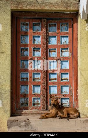 Ein streunender Hund ruht neben einer verwitterten geschnitzten Holztür mit abblätternder roter und blauer Farbe, Gujarat, Mandvi, Indien Stockfoto