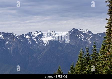 Schneebedeckte Olympischen Berge und immergrüne Wälder, gesehen vom Hurricane Ridge im Olympic Nationalpark, Washington. Stockfoto