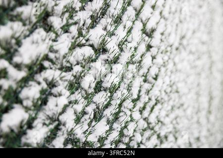 Künstlicher Rasen, der im Winter mit frischem Schnee bedeckt ist Stockfoto