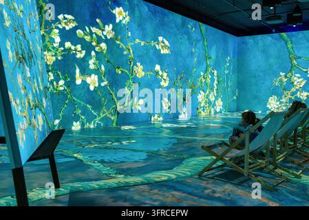 Bratislava, Slowakei - 3. Oktober 2026: Besucher entspannen sich in Liegestühlen, während das Kunstwerk „Mandelblüte“ von Vincent van Gogh über Wände und Boden projiziert wird Stockfoto