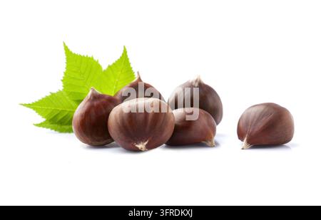 Kastanien mit Blättern auf weißem Hintergrund Stockfoto