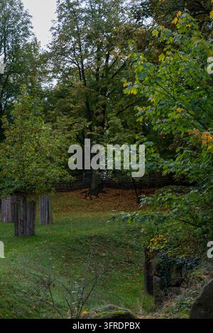 Eine friedliche Herbstlandschaft mit alten Bäumen, grünem Gras und verstreuten gefallenen Blättern im Prager Zoo. Prag, Tschechien – 11. Oktober 2026. Stockfoto