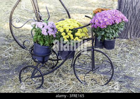 Dekoratives Vintage-Modell altes Fahrrad mit montiertem Korb Blumen Garten Stockfoto
