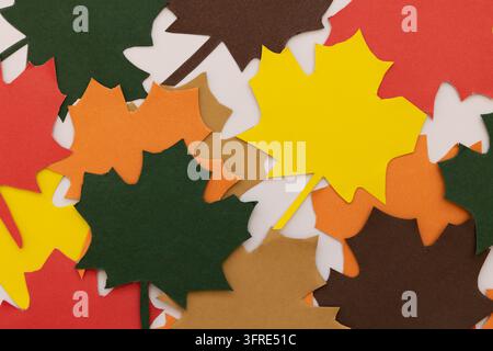 Herbstblätter aus Papier in verschiedenen Herbstfarben, in einer Nahaufnahme auf weißem Hintergrund gruppiert, kreatives Konzept für Bastelarbeiten, Dekoration und saisonale D Stockfoto