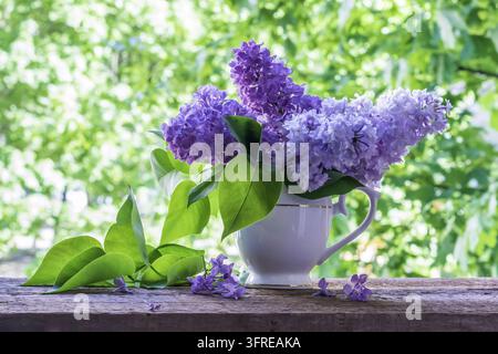 Flieder in einer Vase am Fenster. Schöne und zarte Blüten Stockfoto