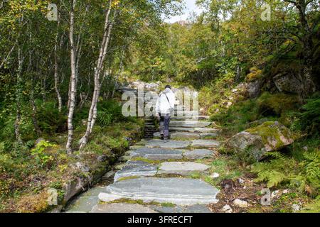 Erwachsenenmann, nicht erkennbar, geht die Sherpa-Treppen hinauf zum Berg Torghatteni in Brønnøysund, Norwegen. Schöne Landschaft umgeben Stockfoto