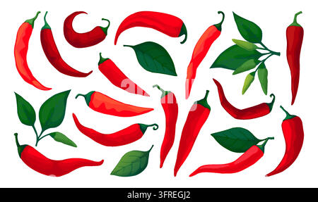 Chili-Pfeffer. Rotes scharfes mexikanisches Symbol, Paprika-Form oder frisches Gemüse Chile-Koch. Handgezeichnete scharfe Gemüse mit grünen Blättern auf weißem Hintergrund. Vektor-Cartoon-flache isolierte Illustration Stock Vektor