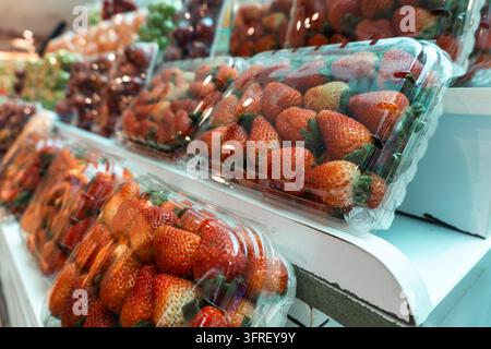 Rote Erdbeeren sind in durchsichtigen Plastikschachteln auf einer Obst- und Gemüsetheke in Da Lat, Vietnam, verpackt. Stockfoto