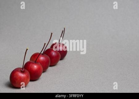 Reihe von roten Apfelbäumen mit selektivem Fokus und Kopierraum Stockfoto