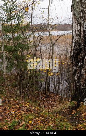 Stimmungsvolle skandinavische Wildnis mit farbenfrohem Waldhang und ruhigem Wasser unter bewölktem Himmel in Nordeuropa. Stockfoto