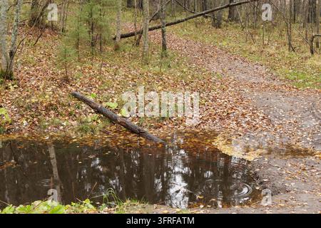 Pittoreske horizontale Ansicht eines leeren Wanderpfads und einer ruhigen Wasseroberfläche mit Wellen während des Spätherbsts in Nordeuropa. Stockfoto