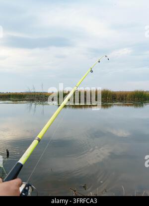 Ich-Perspektive beim Freizeitfischen mit einer Angelrute über einem ruhigen See, der von Schilf und Bäumen gesäumt ist. Stockfoto