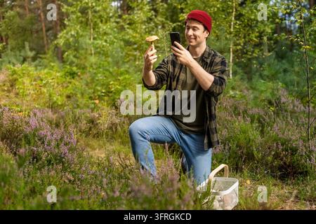 Lächelnder Mann identifiziert Pilz mit Smartphone-App im Wald, kniend zwischen Heidekraut, Pilzidentifikationstechnologie für essbare Pilze zum Suchen Stockfoto