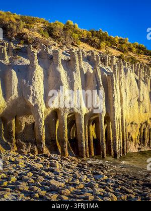 Nahaufnahme zeigt das Naturwunder der Crowley Lake-Säulen entlang des Ufers Stockfoto