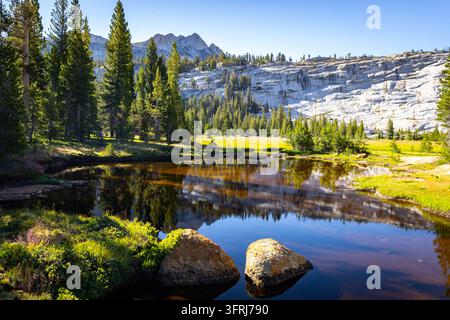 Die Gewässer des Cathedral Lakes spiegeln die umliegende Waldlandschaft unter klarem Yosemite-Himmel wider Stockfoto