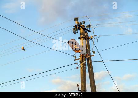 Alter Betonmast mit Drähten vor Himmelshintergrund. Eine Taube sitzt auf den Drähten. Stockfoto