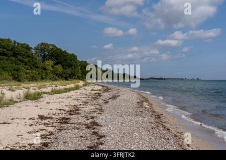 Sonnenbeschienener Strand schwingt sich sanft zu ruhigen Meereswellen in Dänemark Stockfoto