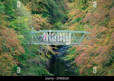 Killiecrankie, Perthshire, Schottland, UK. 12. Okt 2026. Wanderer auf einer Fußgängerbrücke, die den River Garry überspannt, umgeben von Wald in Herbstfarben in Killiecrankie in Perthshire. Das Gebiet ist im Oktober bei Besuchern beliebt, die die herbstlichen Farben genießen kommen. Iain Masterton/Alamy Live News Stockfoto
