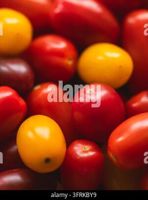 Nahaufnahme einer lebendigen Mischung aus frischen bunten Heirloom-Tomaten Stockfoto