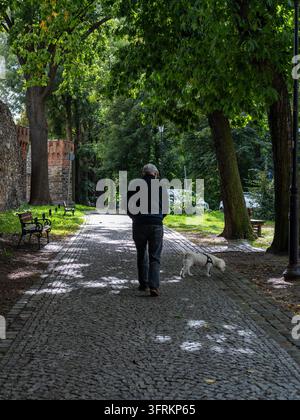 Alter Mann geht mit seinem Hund im Park Stockfoto