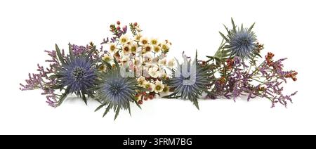Blumen  Mittelmeer-Strandflieder, Limonium safora und Wachblumen isoliert auf weißem Hintergrund. Rand von Blauem Strandflieder-Iris, Eryngium bourgatii a Stockfoto