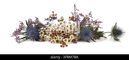 Blumen  Mittelmeer-Strandflieder, Limonium safora und Wachblumen isoliert auf weißem Hintergrund. Rand von Blauem Strandflieder-Iris, Eryngium bourgatii a Stockfoto
