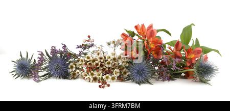 Blumen Mittelmeer-Strandaster, Limonium safora, Peruanische Lilie und Wachsblumen isoliert auf weißem Hintergrund. Rand von Blauer Strandaster-Distel, Eryng Stockfoto