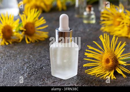 Eine Flasche Alantöl mit blühender Alantpflanze auf einem dunklen Hintergrund Stockfoto