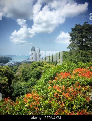 Zwillings-Wolkenkratzer erheben sich vor der Skyline mit Blick auf eine ruhige tropische Bucht in Singapur. Der Blick ist von einem üppigen Hügel aus, mit dichtem grünen Laub a Stockfoto
