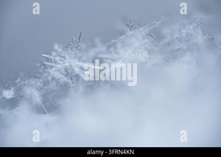Zarte Nadel-Eiskristalle und Schneeflockenstruktur auf weichem blauem Hintergrund, Makro-Winterfrosttextur, Gefrierklima- und Eisnaturkonzept mit Stockfoto