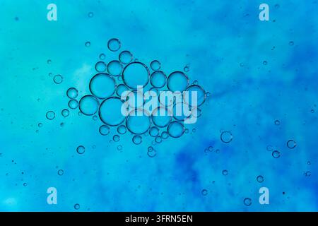 Lebendiger zyanblauer und blauer flüssiger Farbverlauf als abstrakter Hintergrund mit schwebenden Ölblasen, makroskopische Flüssigkeitswissenschaftstextur mit Kopierplatz, modernes Design Stockfoto