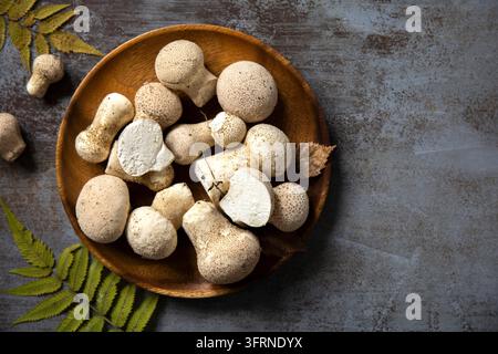Frische Wildpilze arrangiert in einer Holzschale auf einer dunklen rustikalen Steinfläche, mit Farnblättern, die die Komposition einrahmen, und großzügigem Kopierraum für se Stockfoto