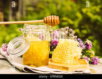 Frischer Honig in einem Glas auf einem sommerlichen ländlichen Hintergrund. Blütenduftendes süßes Honigdessert. Frontansicht horizontaler Rahmen Kopierraum Stockfoto