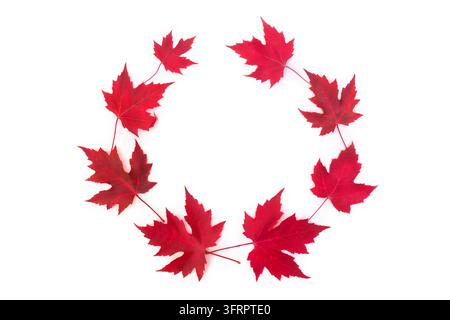 Lebendige herbstliche runde Rahmenkomposition aus roten Ahornblättern, isoliert auf einem sauberen weißen Hintergrund. Flacher Herbstlaubkranz mit leerem Kreis c Stockfoto