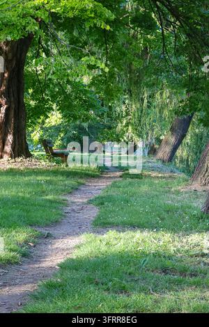 Ein sonnenbeschienener Feldweg schlängelt sich durch einen friedlichen Park, der von ausgewachsenen Bäumen und Holzbänken gesäumt ist und eine ruhige grüne Umgebung schafft, die ideal zum Spazierengehen ist, refl Stockfoto