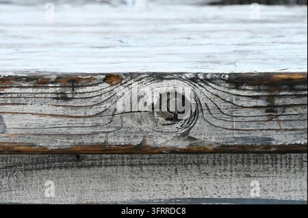 Fotografie, die eine alte, verwitterte Holzoberfläche zeigt, die einen deutlichen Astknoten, natürliche Holzmaserung und Spuren von weißer Farbe aufweist Stockfoto