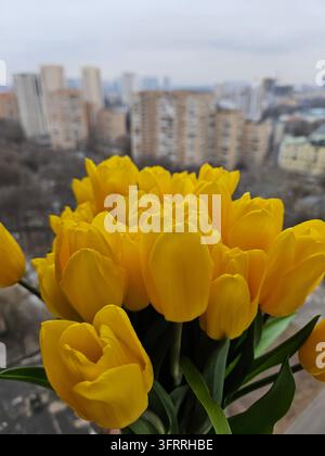 Ein Strauß gelber Tulpen wird in einem Fenster ausgestellt, mit der Stadt im Hintergrund. Die leuchtend gelben Blumen kontrastieren mit dem grauen Himmel und den Gebäuden und erzeugen ein Gefühl von Wärme und Fröhlichkeit Stockfoto
