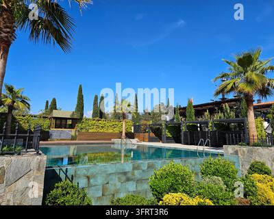 Pool mit einer grünen Wand und einem grünen Busch. Der Pool ist von einem Zaun umgeben. Im Hintergrund stehen zwei Palmen Stockfoto