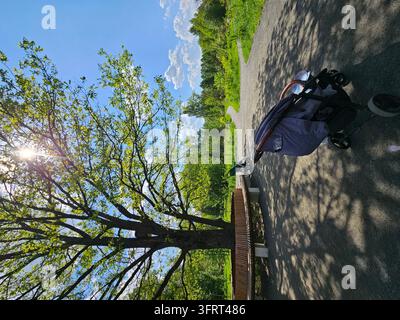 Der Kinderwagen steht im Schatten einer Eiche. Der Kinderwagen befindet sich auf einem gepflasterten Weg in einem Park Stockfoto