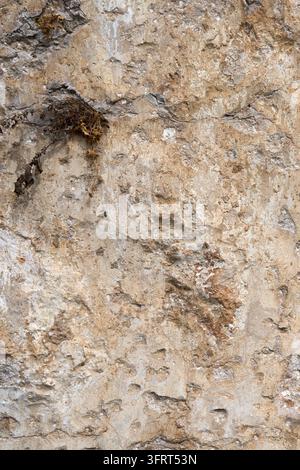 Verwitterte Kalkstein- und Gipswandtextur mit rustikaler gealterter architektonischer Oberfläche Stockfoto
