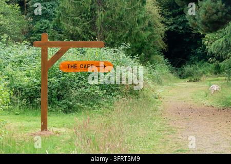 Braunes ovales Schild mit Pfeil, das an einem rustikalen Holzpfosten montiert ist, leitet Besucher entlang eines Kieswegs, der von wildem Gras, Sträuchern und hohen Nadelbäumen in üppiger Vegetation gesäumt ist Stockfoto