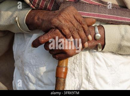 Nahaufnahme der Hände eines älteren ländlichen indischen Mannes mit traditionellen silbernen Armbändern, die einen hölzernen Gehstock halten, Rajasthan, Indien Stockfoto