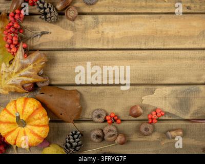 Herbst-Eck-Komposition mit orangefarbenem Kürbis, Ebereschenbeeren und Eicheln auf Holzplanken, Ernte-Hintergrund mit Kopierraum für Banner Stockfoto