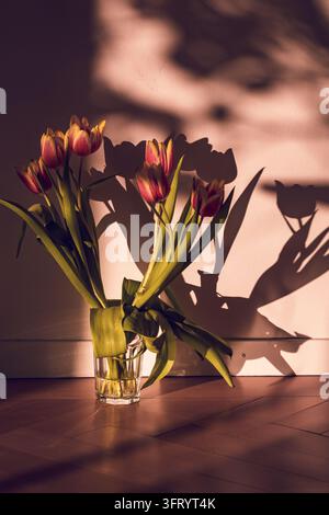 Frühlingstulpen in einer Glasvase mit dramatischem Licht- und Schattenspiel Stockfoto